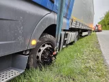 WHEELDUCK Crown